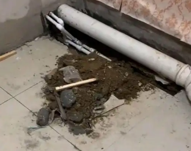 巴里坤哈萨克卫生间漏水检测哪家好